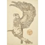 Edward Julius Detmold (1883-1957) British. An Eagle, Etching, Signed in Pencil, Unframed 10" x 7" (