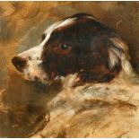 John Emms (1843-1912) British. Head of a Spaniel, Oil on Canvas, Signed, 6" x 6" (15.2 x 15.2cm)