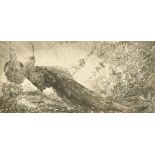 Edward Julius Detmold (1883-1957) British. "Peacock (Landscape)", Etching, Signed and Initialled