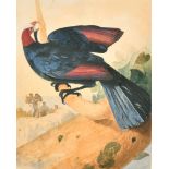 Early 19th Century French School. A Wild Bird on a Branch with Tribesmen beyond, Watercolour,