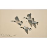 Peter Markham Scott (1909-1989) British. "Barnacle Geese", Watercolour and Ink, Signed and Dated