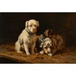Arthur Charles Dodd (19th-20th Century) British. Puppies in a Stable, Oil on Panel, Signed, 7" x 10"