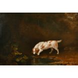Edwin Cooper (1785-1833) British. Study of a Spaniel at a Watering Hole, Oil on Canvas, Signed and