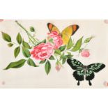 19th Century Chinese School. Butterfly and Flower Study, Watercolour on Rice Paper, Unframed 6" x