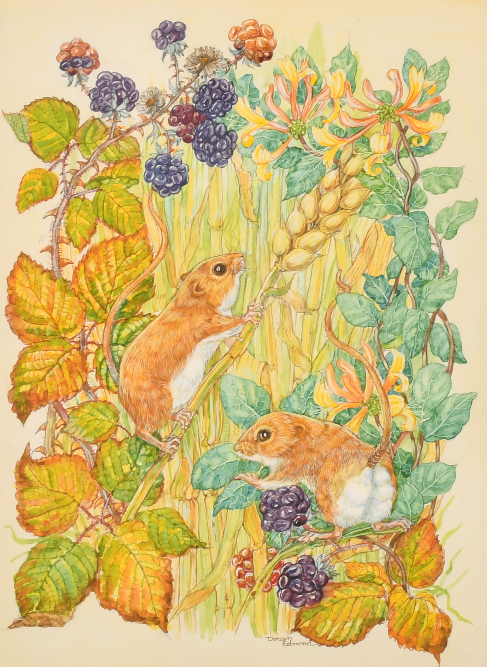 Doreen Edmond (20th Century) British. Mice in the Undergrowth, Watercolour, Signed, 12.75" x 9.