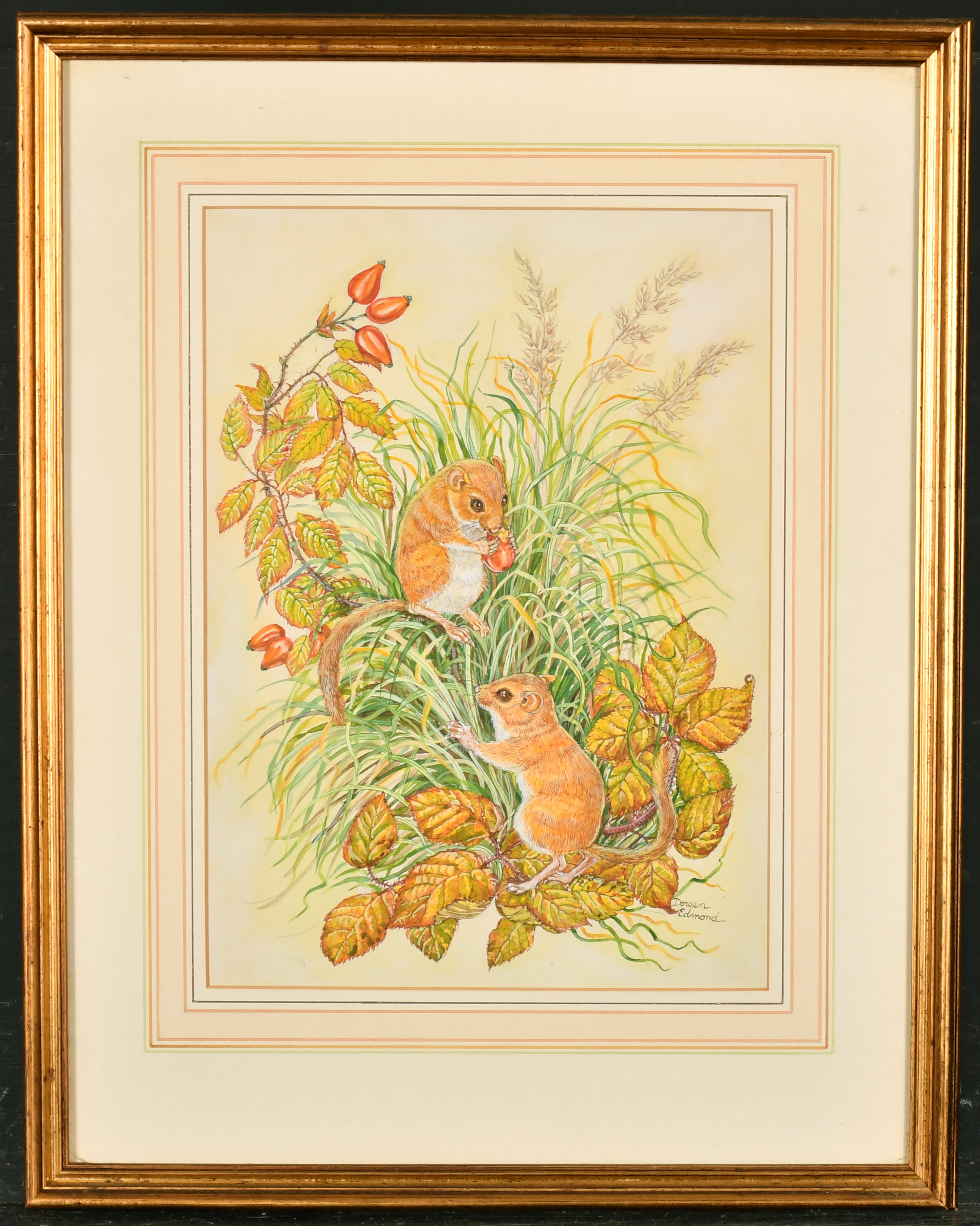 Doreen Edmond (20th Century) British. Mice in the Undergrowth, Watercolour, Signed, 12.75" x 9. - Image 3 of 6