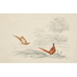 19th Century English School. A Cock and Hen Pheasant in a Landscape, Watercolour and Pencil, in a