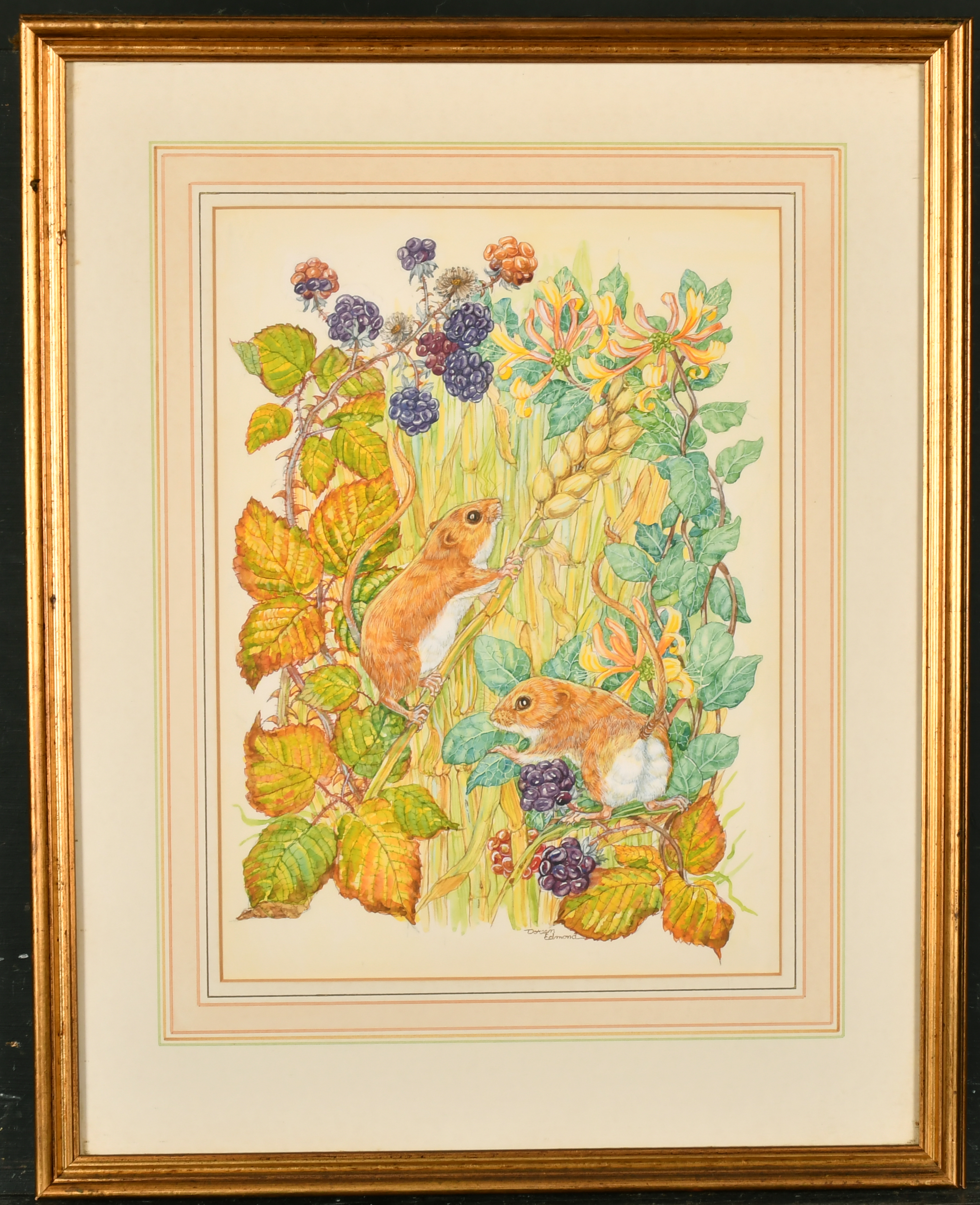 Doreen Edmond (20th Century) British. Mice in the Undergrowth, Watercolour, Signed, 12.75" x 9. - Image 2 of 6