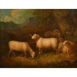 19th Century English School. "Ram and Ewes, Dorset Horn Sheep", Oil on Canvas, Inscribed on mount,