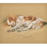 Lucy Dawson (1867-1954) British. "Judy, Spaniel Puppy", Chalk, Inscribed in Pencil, 8" x 9.5" (20.