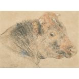 William Huggins (1820-1884) British. Head of a Bull, Pencil and Chalk, Signed and Dated 1878, in a