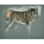 Arthur Wardle (1864-1949) British. Study of a Husky, Pastel, Numbered 42, and Inscribed on a label
