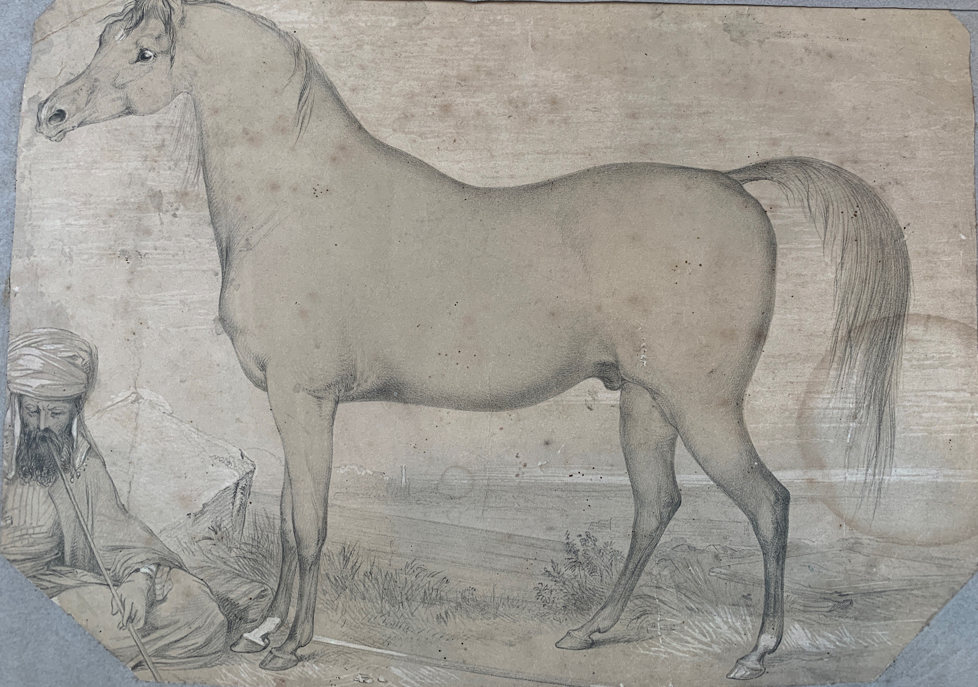 19th Century English School. Study of an Arabian Horse, Pencil and Wash, Shaped, Unframed 10" x 13.