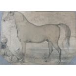 19th Century English School. Study of an Arabian Horse, Pencil and Wash, Shaped, Unframed 10" x 13.