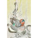 Michael Warren (1938- ) British. "Drake Teal", Watercolour, Signed and Dated '73, and Inscribed on a