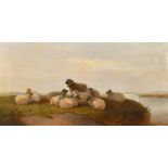 Circle of Thomas Sidney Cooper (1803-1902) British. Sheep in a River Landscape, Oil on Canvas, 12" x
