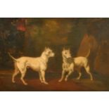 Sylvester Martin (act.1856-1906) British. A Study of Two Bull Terriers, Oil on Panel, Signed and