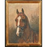 Circle of Lucy Kemp-Welch (1869-1958) British. "Pulpero", Polo Pony of the Year 1953, Oil on