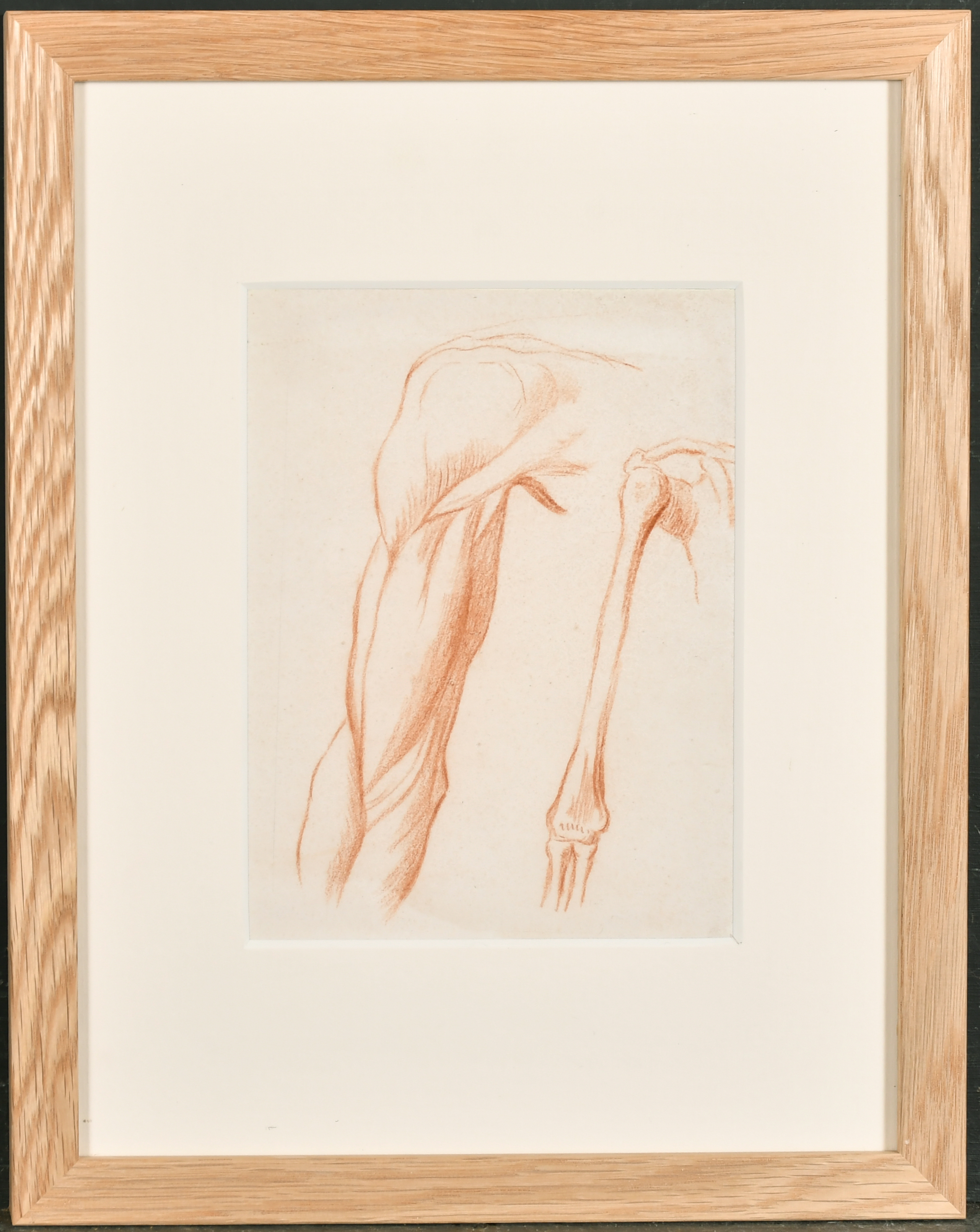 18th Century European School. Study of a Femur, Red Chalk, 9.75" x 6.75" (24.8 x 17.1cm) and three - Image 6 of 9