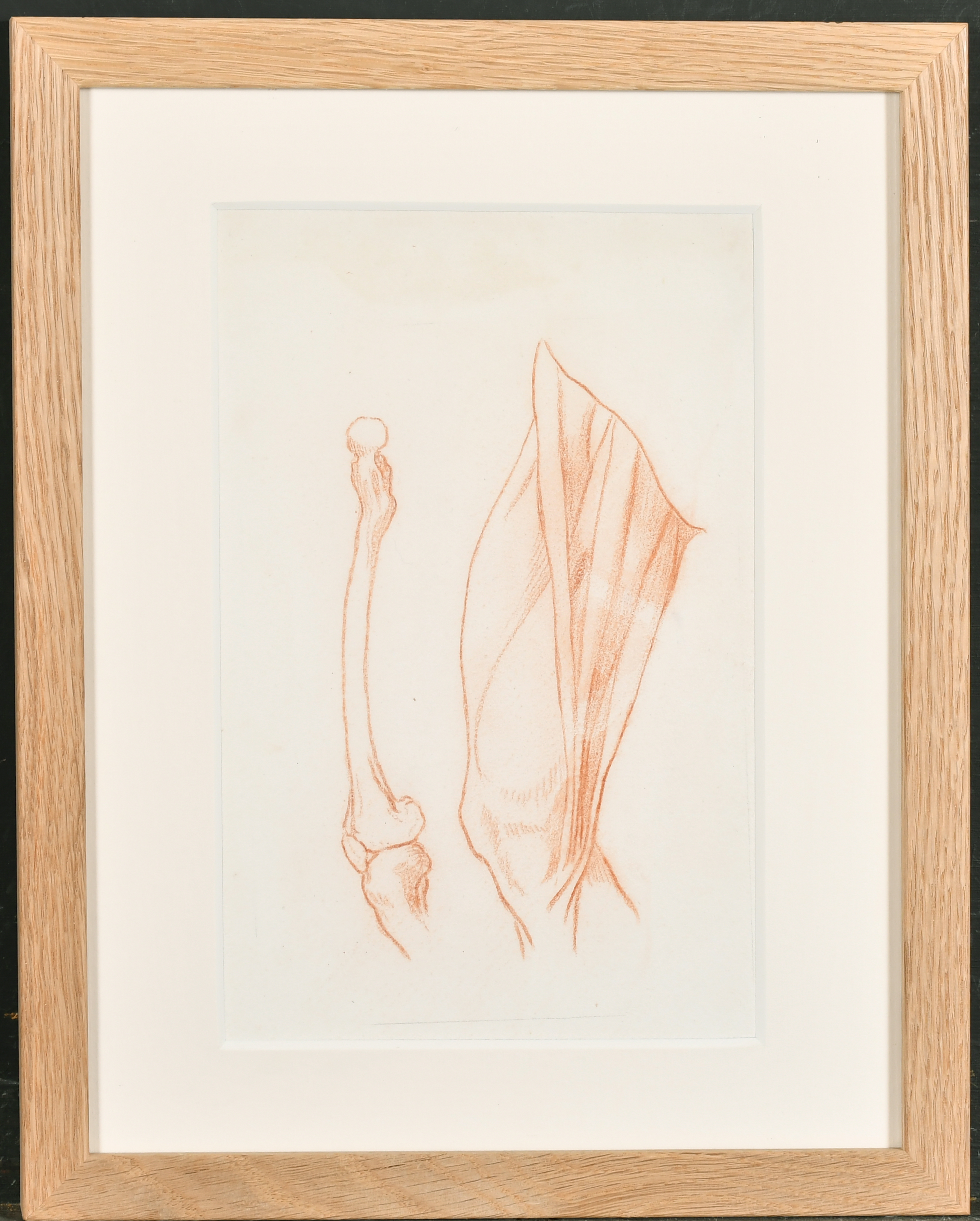 18th Century European School. Study of a Femur, Red Chalk, 9.75" x 6.75" (24.8 x 17.1cm) and three - Image 7 of 9