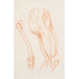 18th Century European School. Study of a Femur, Red Chalk, 9.75" x 6.75" (24.8 x 17.1cm) and three