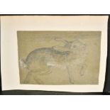 Early 19th Century English School. A Study of a Hare, Pencil, Unframed 6" x 9.5" (15.3 x 24.1cm) and