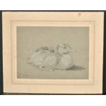 James Ward (1769-1859) British. Study of a Duckling, Chalk, Signed with Initials and Inscribed 'RA',