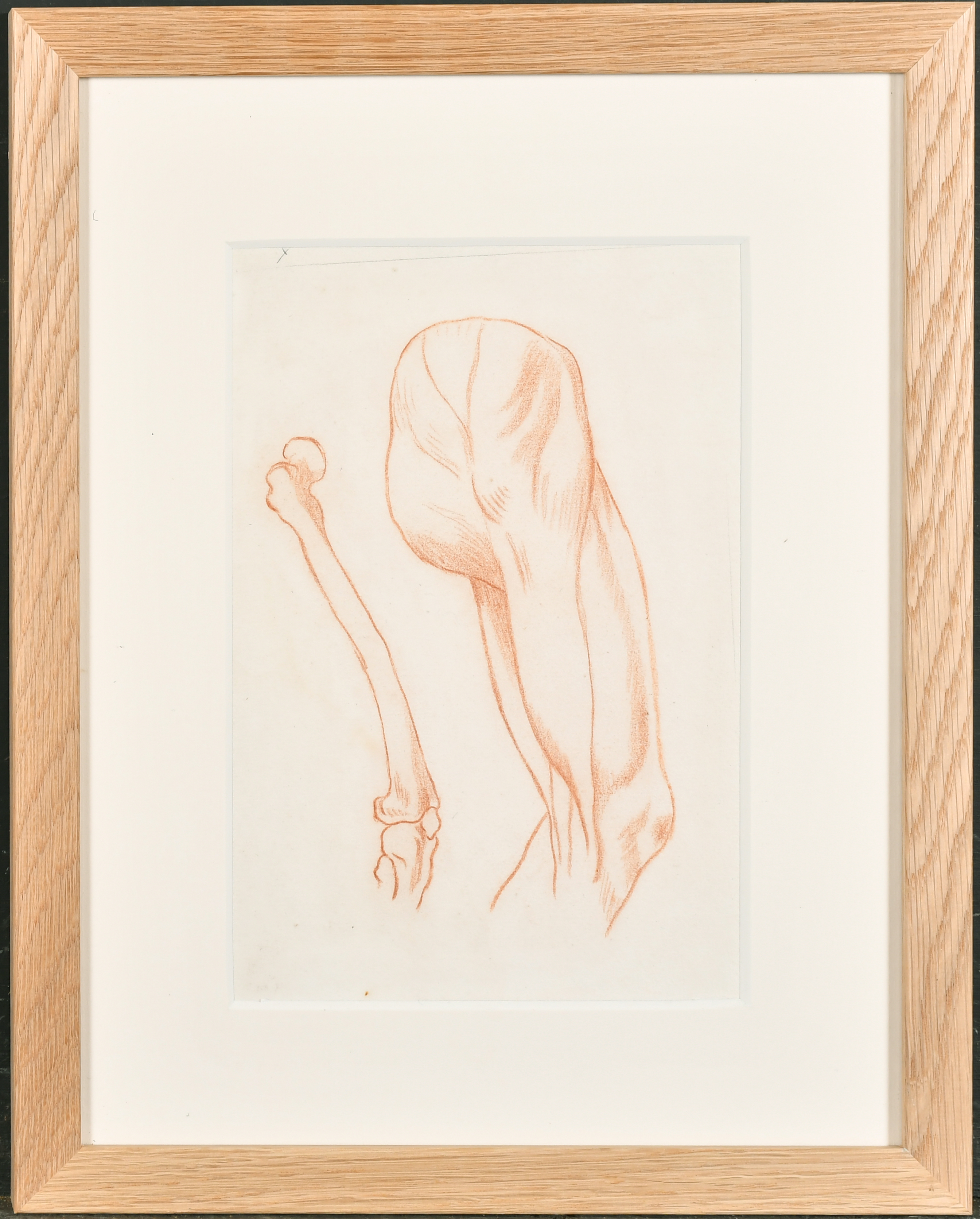 18th Century European School. Study of a Femur, Red Chalk, 9.75" x 6.75" (24.8 x 17.1cm) and three - Image 5 of 9