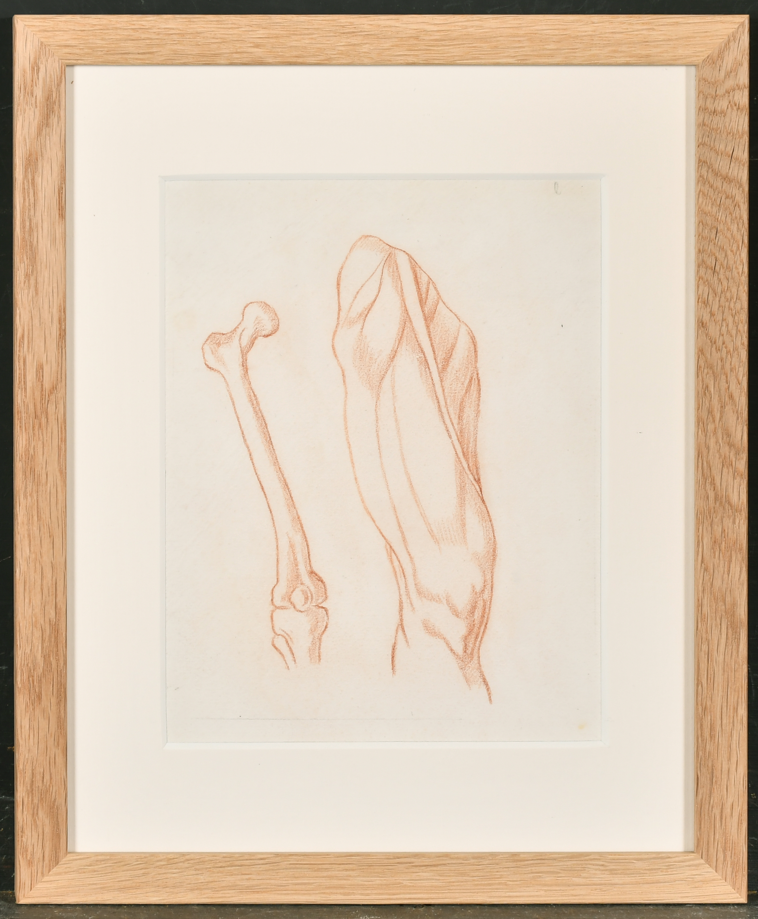 18th Century European School. Study of a Femur, Red Chalk, 9.75" x 6.75" (24.8 x 17.1cm) and three - Image 8 of 9