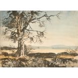 Rowland Hilder (1905-1993) British. "Tree Study", Proof Etching in Black with Watercolour, Signed,