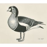 Peter Markham Scott (1909-1989) British. "Redbreasted Goose", Indian Ink, Signed with Initials and