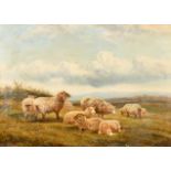 William Vivian Tippett (1833-1910) British. Sheep in a Landscape, Oil on canvas, Signed and dated '