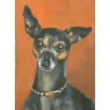 Miss Emily F Heath (20th Century) British. "Pickles", a Chihuahua, Watercolour, Inscribed on a label