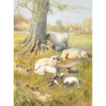 Walter Bothams (c.1850-1914) British. Sheep Resting under a Tree, Watercolour, Signed, 14" x 10.