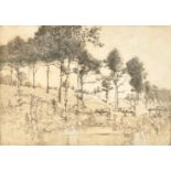 Edward Millington Synge (1860-1913) British. "Sussex Woodlands", Etching, Signed and inscribed in
