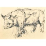 Claire Norrington (1969- ) British. Study of a Pig, Charcoal, Unframed 19.5" x 27.5" (49.5 x 70cm)
