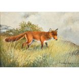 Berrisford Hill (1930- ) British. A Fox in a Landscape, Oil on board, Signed, 5.5" x 7.5" (14 x