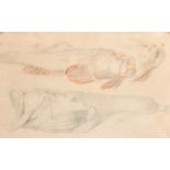 18th Century French School. Study of Three Fish, Pencil and red chalk, Inscribed on label verso, 7.