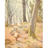 William Sidney Cooper (1854-1927) British. Sheep in a Woodland, Watercolour, Signed and dated