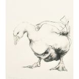 Claire Norrington (1969- ) British. 'Goose', Charcoal and wash, Signed and dated '95 in pencil,