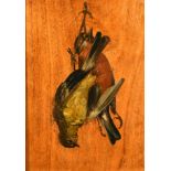 19th Century English School. A Still Life of Hanging Birds, Oil on panel, 8.5" x 6" (21.6 x 15.2cm)