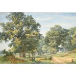 19th Century English School. A Tree Lined Avenue with Sheep in the distance, Watercolour, 14.5" x