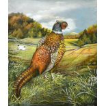 Elizabeth Garnett-Orme (20th-21st Century) British. "Pheasant", Oil on board, Signed and dated 1992,