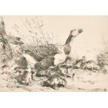 Winifred Austen (1876-1964) British. "Mother Goose", Etching, Signed in pencil, 7" x 10" (17.8 x