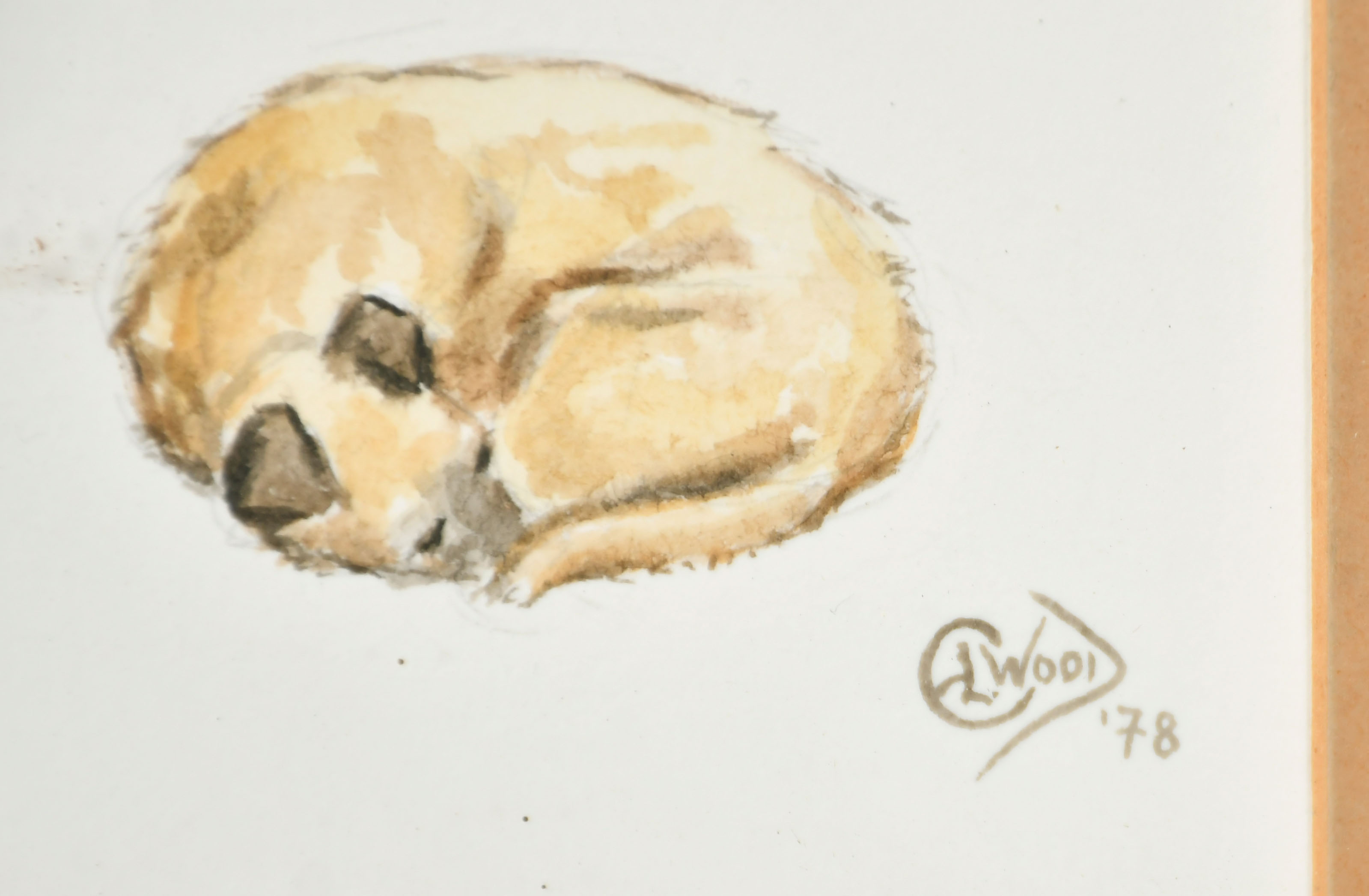 E L Wood (20th Century) British. Terrier Studies, Watercolour and pencil, Signed and dated '78, 9" x - Image 3 of 4