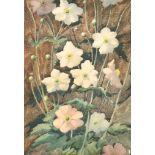 James Gray (act.1917-1947) British. "Anemones", Watercolour, Signed, 14.5" x 10.25" (36.8 x 26cm)