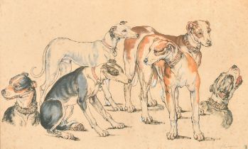 Charles Ruthard (17th Century) European. A Study of Dogs, Ink and Chalk, Signed in pencil, with a
