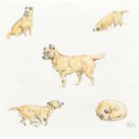 E L Wood (20th Century) British. Terrier Studies, Watercolour and pencil, Signed and dated '78, 9" x