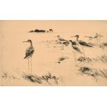 Frank Weston Benson (1862-1951) American. Wading Birds, Etching, Signed and numbered 45 in pencil,