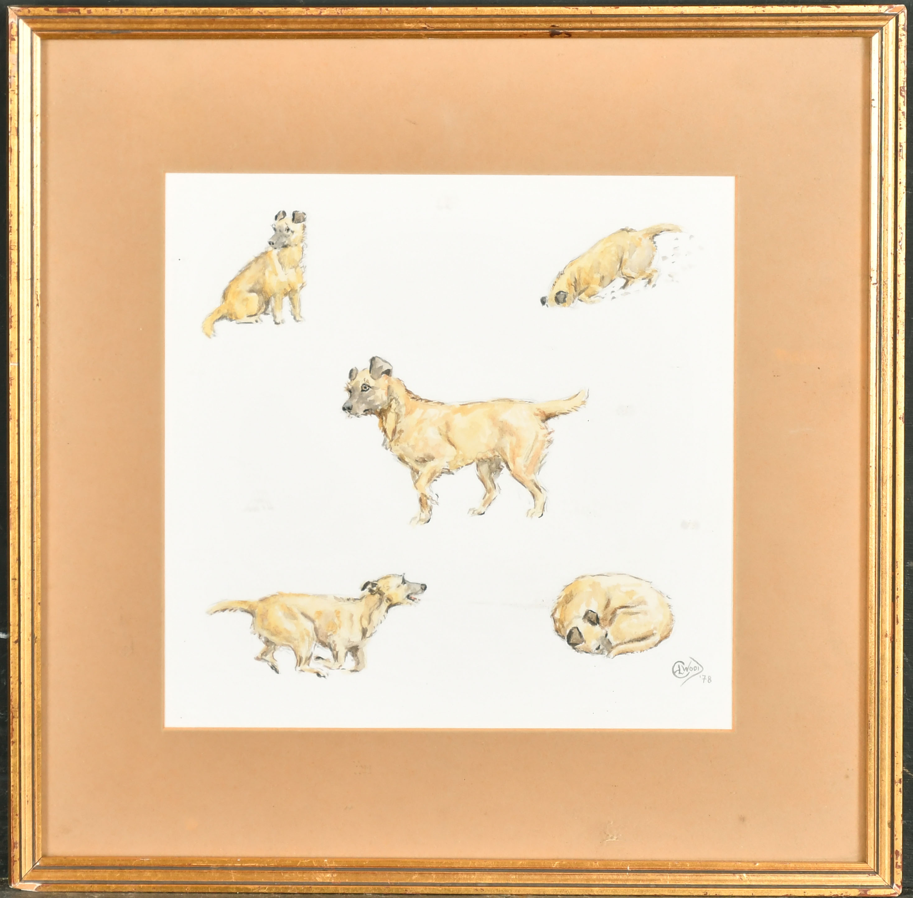 E L Wood (20th Century) British. Terrier Studies, Watercolour and pencil, Signed and dated '78, 9" x - Image 2 of 4